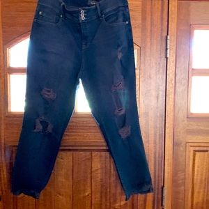 GUC, Torrid Jeggings, sz20